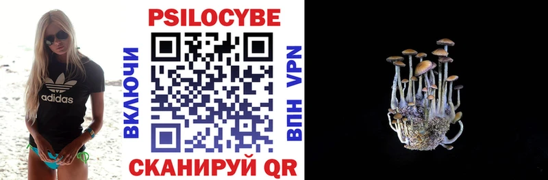 Псилоцибиновые грибы мицелий  дарнет шоп  Нефтеюганск 